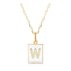 Collier en argent