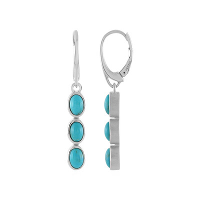 Boucles d'oreilles en argent et Turquoise (MONOSONO COLLECTION)