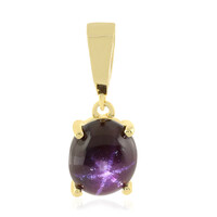 Pendentif en argent et Grenat étoilé