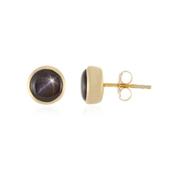 Boucles d'oreilles en argent et Saphir étoilé noir
