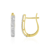 Boucles d'oreilles en argent et Zircon