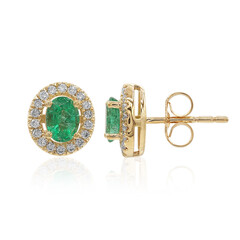 Boucles d'oreilles en or et Emeraude de Zambie AAA