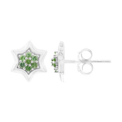 Boucles d'oreilles en argent et Grenat Tsavorite