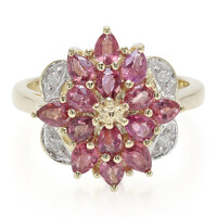 Bague en or et Saphir Padparadscha non chauffé