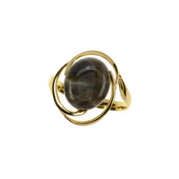 Bague en argent et Bois fossilisé