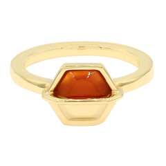 Bague en argent et Cornaline