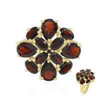 Bague en argent et Grenat