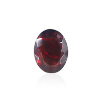  Opale Mezezo 0,707 ct (gemme et boîte de collection)