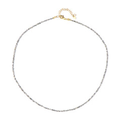 Collier en argent et Diamant argenté