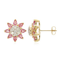Boucles d'oreilles en or et Saphir Padparadscha non chauffé (AMAYANI)