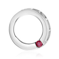 Pendentif en argent et Rubis
