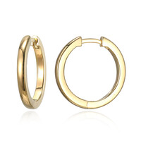 Boucles d'oreilles en argent