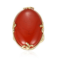 Bague en argent et Jaspe sanguin