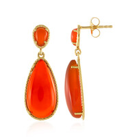 Boucles d'oreilles en argent et Cornaline