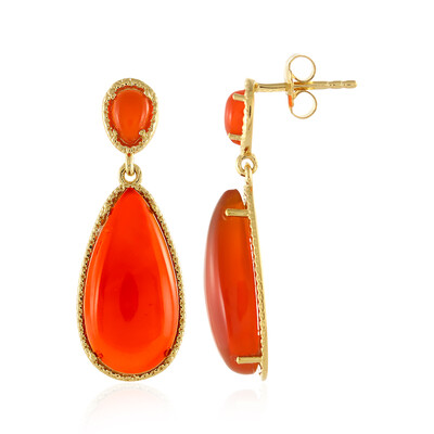 Boucles d'oreilles en argent et Cornaline
