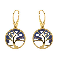 Boucles d'oreilles en argent