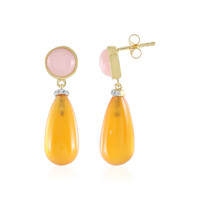 Boucles d'oreilles en argent et Cornaline