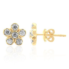 Boucles d'oreilles en or et Diamant SI1 (G)
