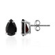 Boucles d'oreilles en argent et Grenat