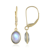 Boucles d'oreilles en or et Labradorite bleue de Maniry