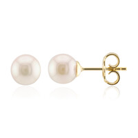 Boucles d'oreilles en argent et Perle d'Akoya (TPC)