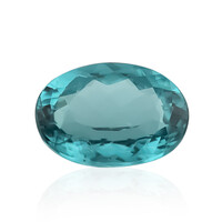  Indicolite de Mutuca (gemme et boîte de collection)