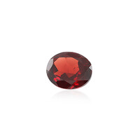  Grenat du Mozambique 4,256 ct (gemme et boîte de collection)