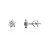 Boucles d'oreilles en platine et Diamant Flawless (F) (LUCENT DIAMONDS)