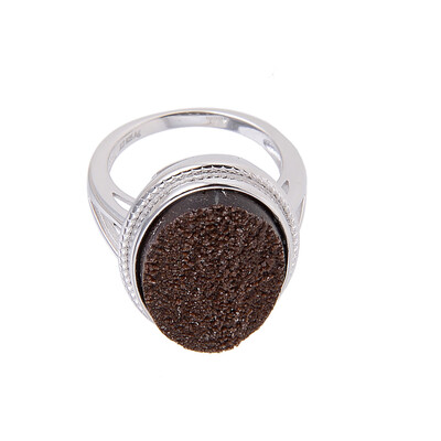 Bague en argent et Bois fossilisé de Zwenkau