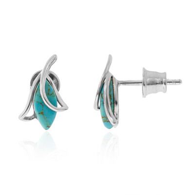 Boucles d'oreilles en argent et Turquoise (dagen)