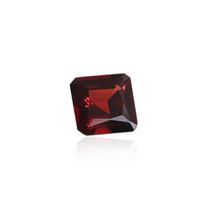 Grenat du Mozambique 4,627 ct (gemme et boîte de collection)