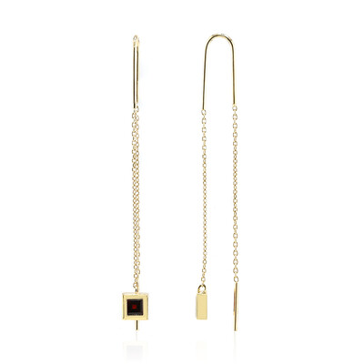 Boucles d'oreilles en argent et Grenat