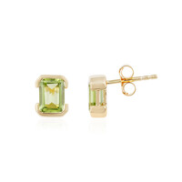 Boucles d'oreilles en argent et Péridot