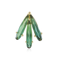 Pendentif en or et Tourmaline de Santa Rosa (de Melo)