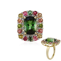 Bague en or et Tourmaline de Santa Rosa (D'vyere)