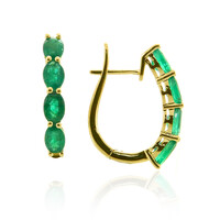 Boucles d'oreilles en or et Emeraude de Zambie AAA (CIRARI)