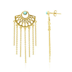 Boucles d'oreilles en argent et Turquoise