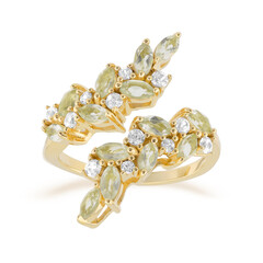 Bague en argent et Améthyste verte