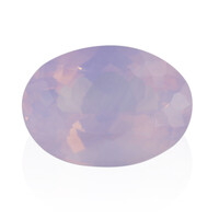  Quartz Fleur de Lys (gemme et boîte de collection)
