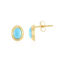 Boucles d'oreilles en argent et Turquoise Sleeping Beauty