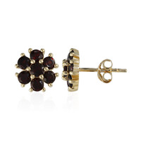 Boucles d'oreilles en argent et Grenat