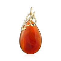 Pendentif en argent et Agate rouge