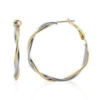 Boucles d'oreilles en argent