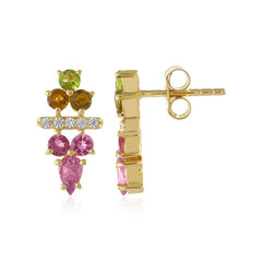 Boucles d'oreilles en argent et Tourmaline