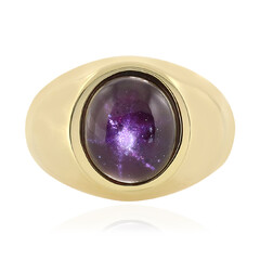 Bague en argent et Grenat étoilé