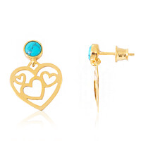 Boucles d'oreilles en argent et Turquoise