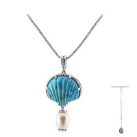 Collier en argent et Turquoise bleue de Mohavie (Dallas Prince Designs)