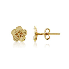 Boucles d'oreilles en argent