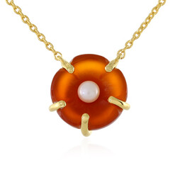 Collier en argent et Cornaline