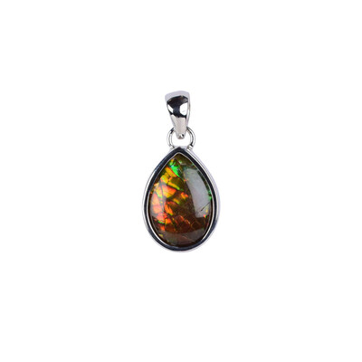 Pendentif en argent et Ammolite